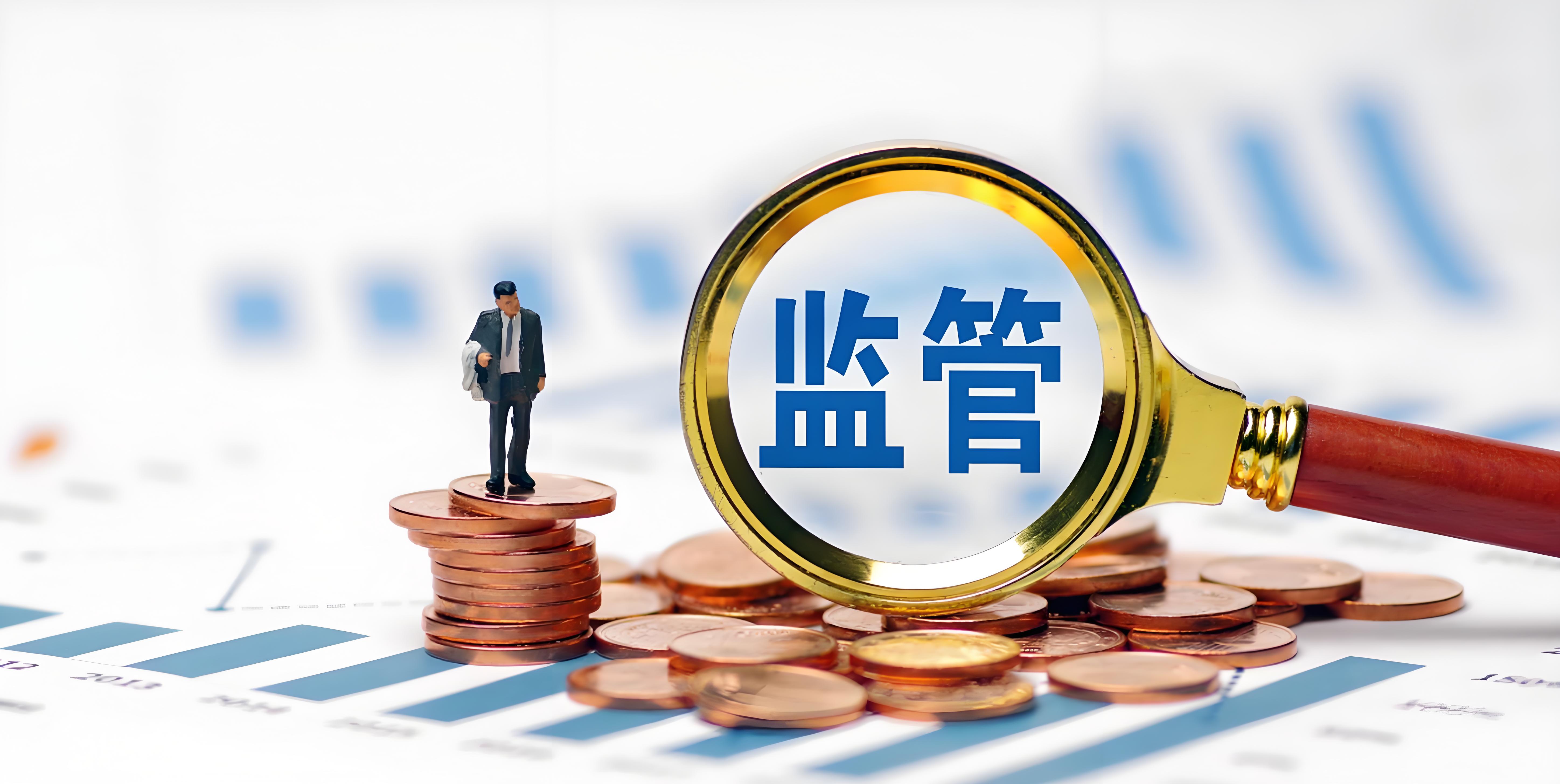 从盖章到“管章”：担保公司风险管理的微观视角